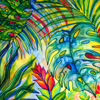 Canopy II.