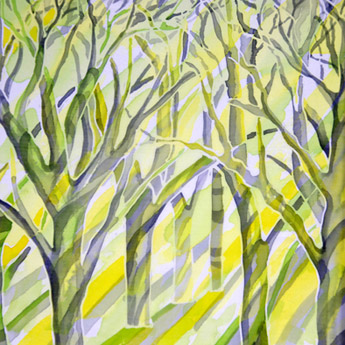 Shadow Trees.